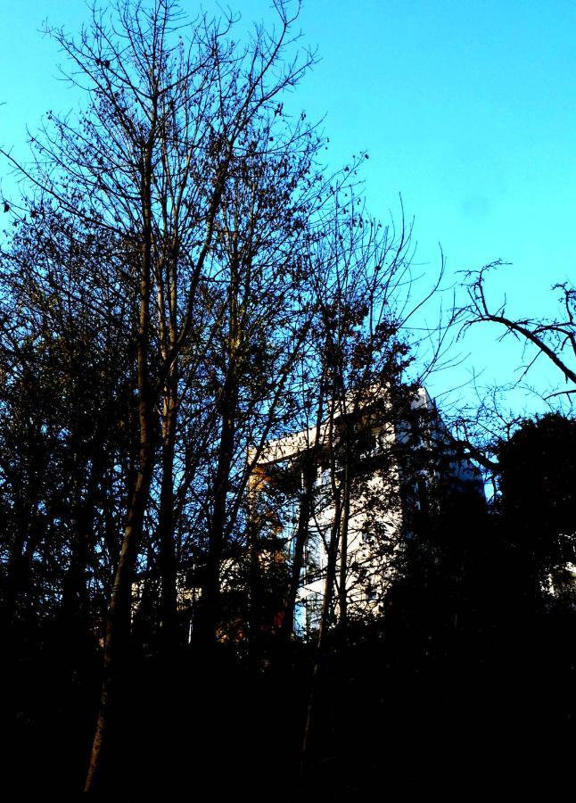 Ferienwohnung Im Turm Bellevue Mit 3 Schlafzimmern 萨森海姆 外观 照片